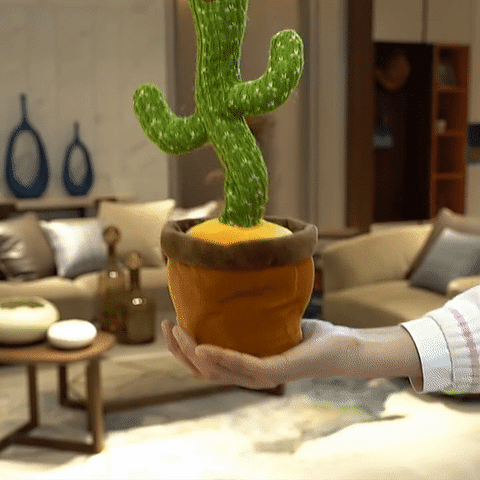 Cactus bailarín Musical