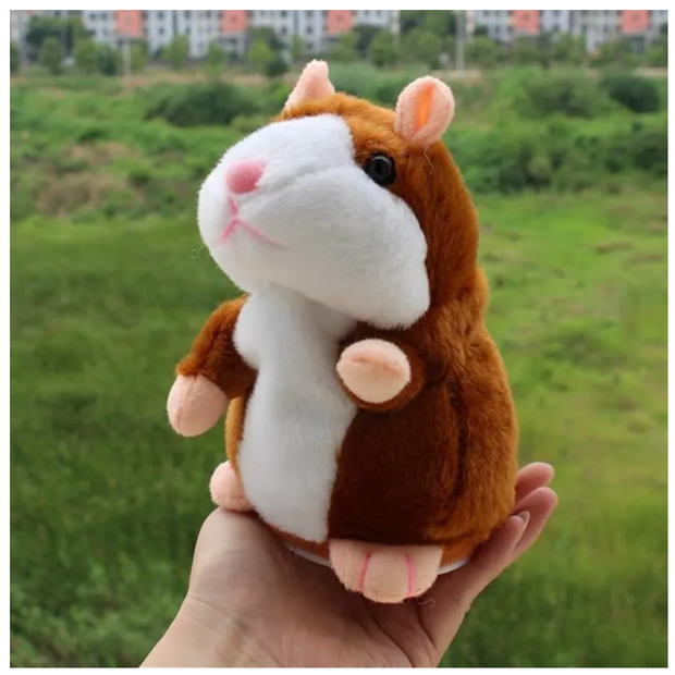 Hamster Divertido