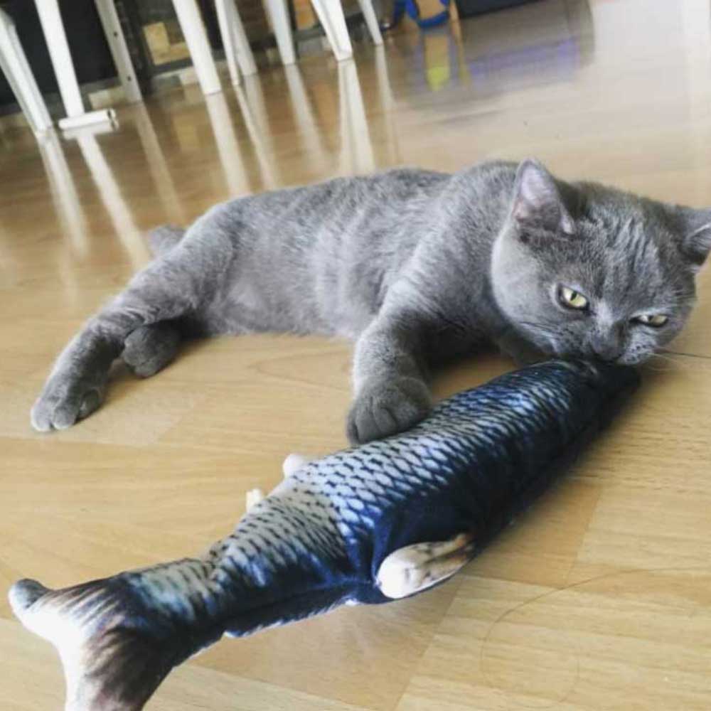 Juguete interactivo para gatos